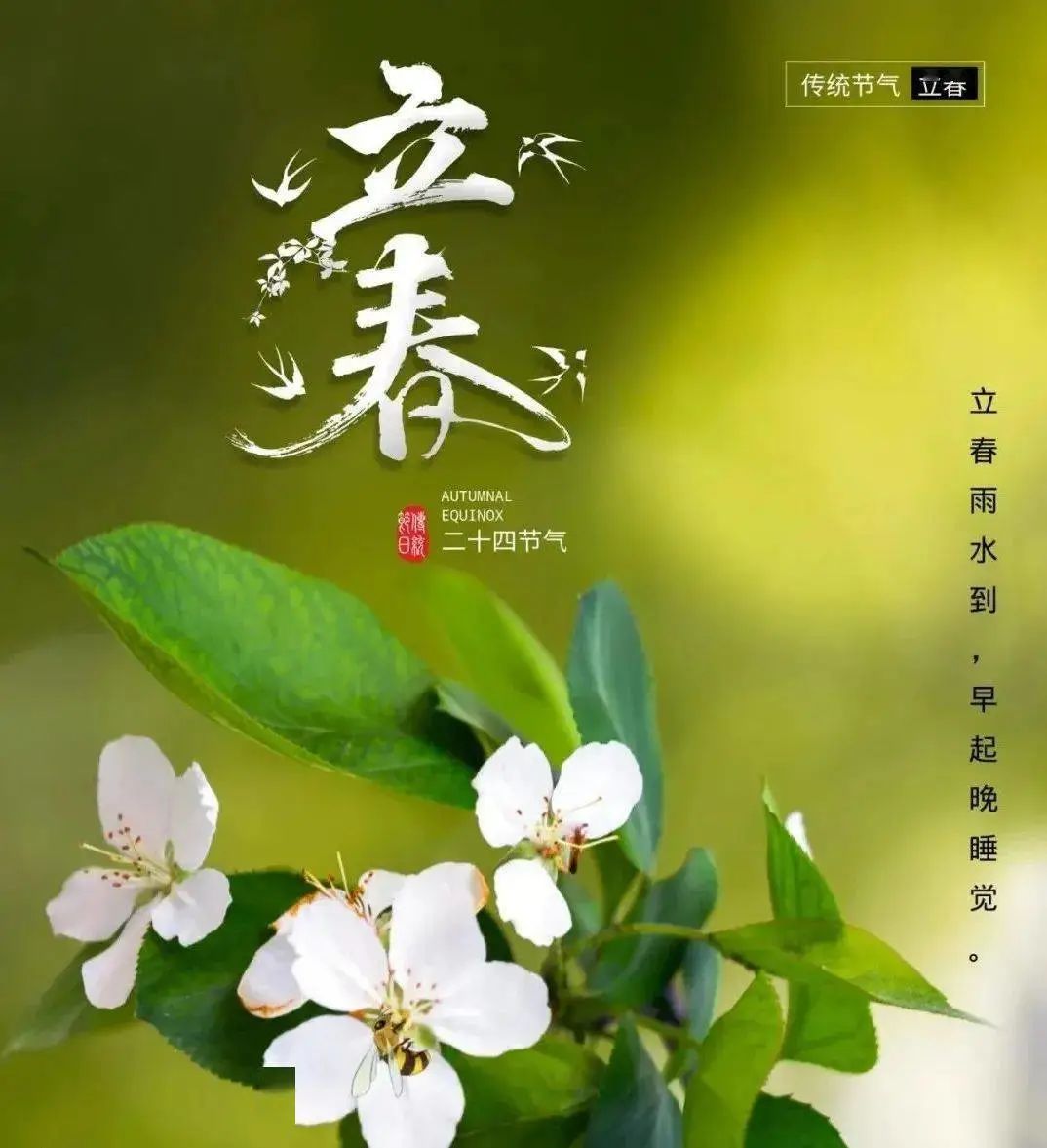 0943b2ed510c8479eb6522cb7a65bfb4.jpeg 图片