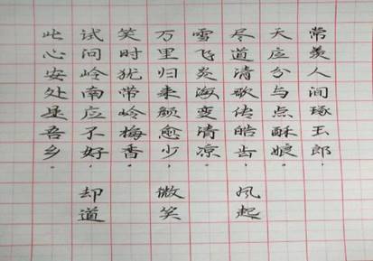 图示, 示意图

中度可信度描述已自动生成:ver1